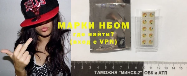 прущие грибы Аркадак