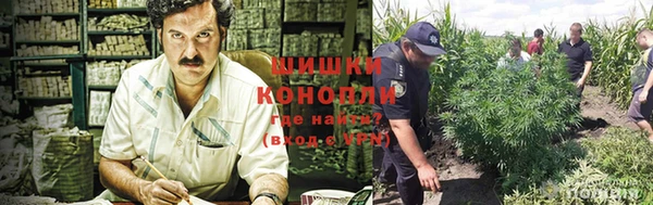 apvp Балабаново