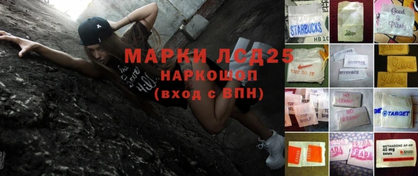 прущие грибы Аркадак