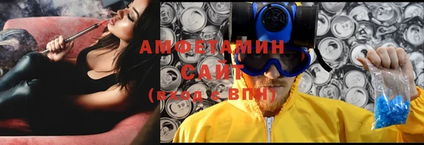 прущие грибы Аркадак
