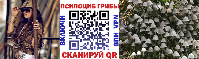 Галлюциногенные грибы прущие грибы  Купить  Мурино 