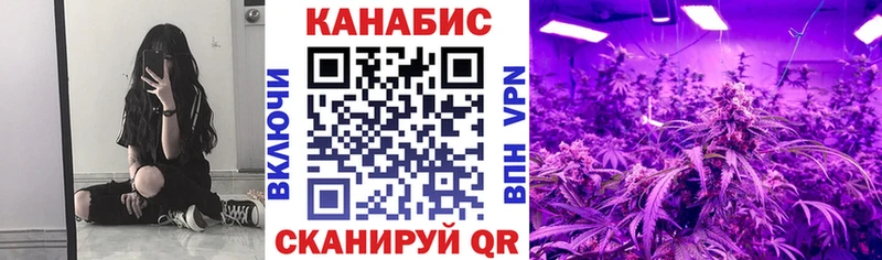 Бошки марихуана план Мурино